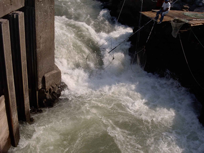 Entrance to fish ladder beside Lyle Falls