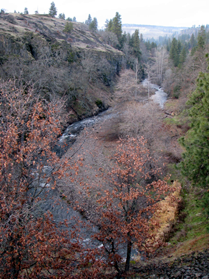 Major Creek near the mouth looking northward