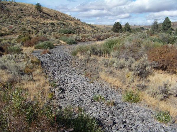 Alluvial deposit on Pine Creek 