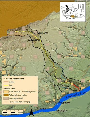 Map of Pine Creek watershed steelhead distribution